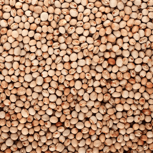 Gros plan sur les Pois d'Angole LEGUMOR, grains secs de couleur beige et brune, parfaits pour soupes, salades et alimentation végétale équilibrée.