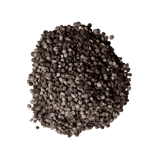 Épice Soumbara / Nététou en grain