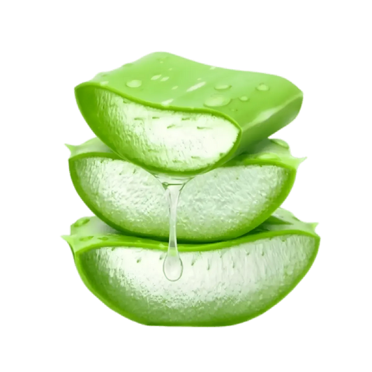 Tranches épaisses d'Aloe Vera montrant le gel translucide. Utilisable en cuisine ou cosmétique pour ses propriétés nutritionnelles et bienfaits santé.