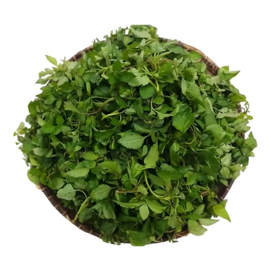 Feuilles fraîches d'Anamadinika CODAL - Légume traditionnel malgache, idéal pour recettes authentiques et cuisine exotique.