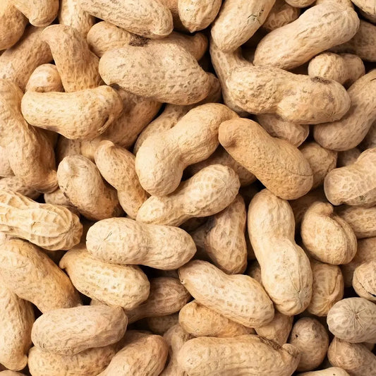 Gros plan d’un tas d’arachides fraîches croquantes, issues de la catégorie fruits et légumes. Arachide fraîche - Achat en ligne.