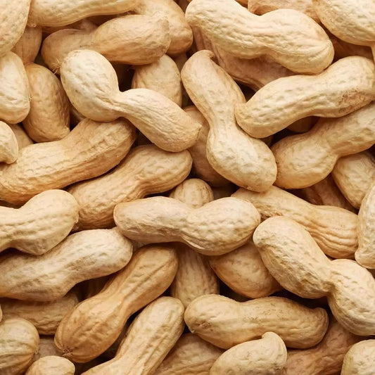 Gros plan sur des arachides grillées PROFRUIT en coques, texture naturelle et croquante, parfaites comme fruits secs à grignoter.