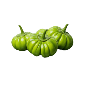 Drei grüne Jakato-Auberginen mit glatter, glänzender Haut. Frisches Gemüse, leuchtend grün.