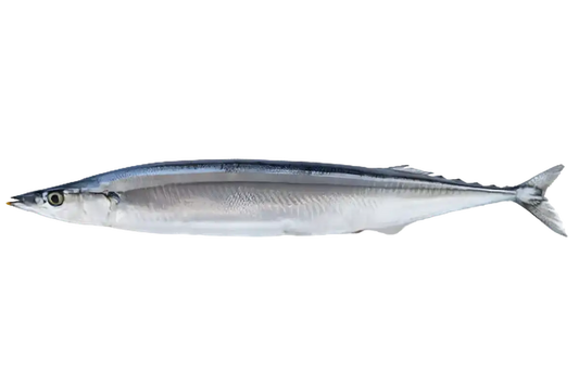 Poisson balaou entier frais, riche en protéines et oméga-3, idéal pour cuisson grillée, pochée ou en ragoût. Texture fine et chair blanche.