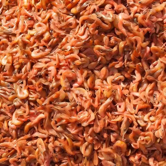 Gros plan sur Chevaquine MAISON RAMA, crevettes de rivière séchées, parfaites pour assaisonner les plats dans la catégorie épicerie salée.