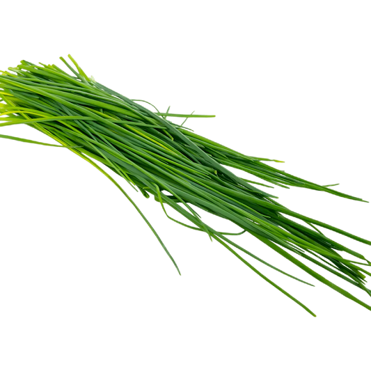 Tiges de ciboulette allongées et fraîches, parfaites pour assaisonner vos recettes. Ciboulette - Herbe Aromatique Ciboulette pour saveur naturelle.