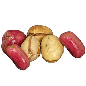 Noix de Cola NKOSI, noix fraîches d'Afrique de l'Ouest.