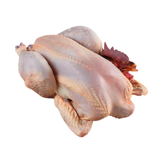 Coq entier halal VOLAILLE NKOSI prêt à découper, viande fraîche surgelée, parfait pour préparation maison de plats traditionnels savoureux.