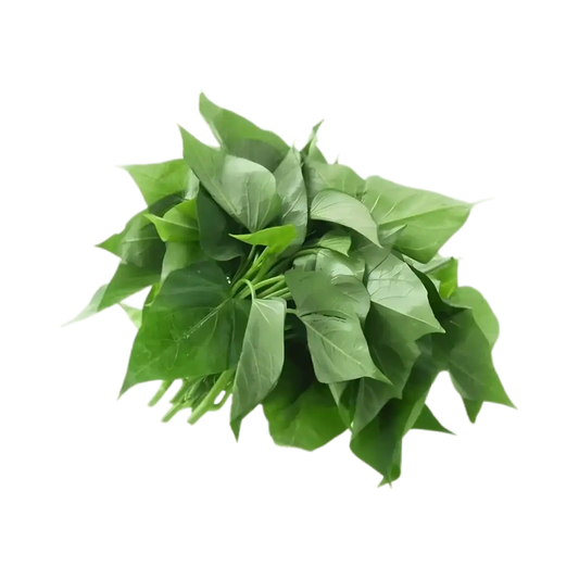 Bouquet de feuilles de patate douce fraîches, appelées Matembele, légume vert tendre et nutritif pour plats africains et recettes santé.