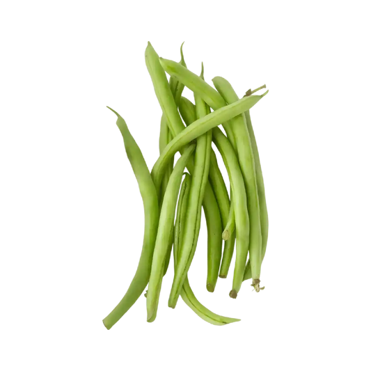 Haricot vert BONDUELLE - Haricots verts frais entiers, parfaits pour illustrer la qualité des légumes en conserve de l'épicerie salée.