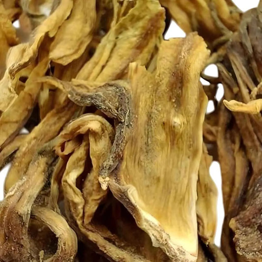 Fleurs séchées d'hibiscus blanc utilisées pour l'infusion BIO RACINES, ingrédient naturel pour boisson rafraîchissante.