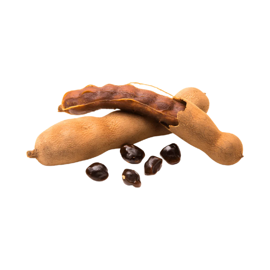 Gousses et graines de tamarin utilisées dans l'Infusion RACINES tamarin Afrique. Ingrédient naturel au goût acidulé et sucré.
