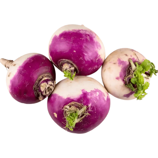 Quatre navets frais violet et blanc avec fanes, parfaits pour recettes de soupes, ragoûts ou purées. Légume-racine riche en saveur.