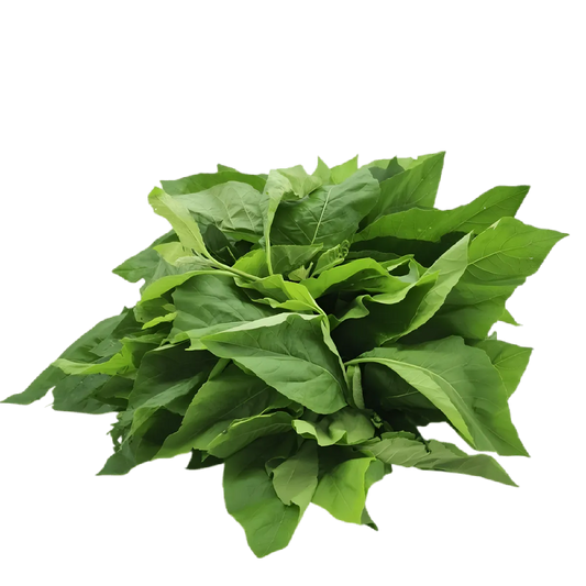 Feuilles de Ndolé fraîches non emballées, ingrédient essentiel de la cuisine camerounaise, parfaites pour préparer des plats au goût amer unique.