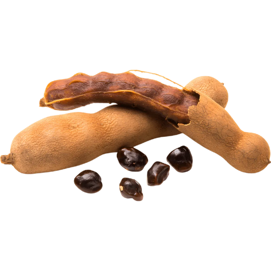 Fruits de tamarin entiers et ouverts avec graines, ingrédient principal du Nectar Tamarin MONTPELÉ à la saveur exotique et délicieuse.