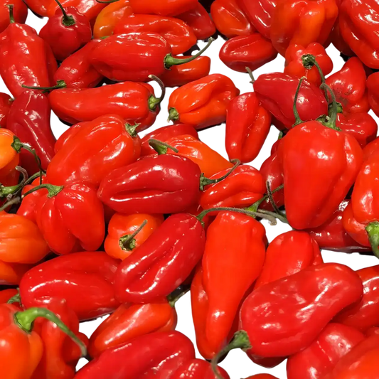 Piments rouges frais brillants, ingrédient principal de la pâte de piment ROYAL BOURBON pour relever vos plats avec intensité.