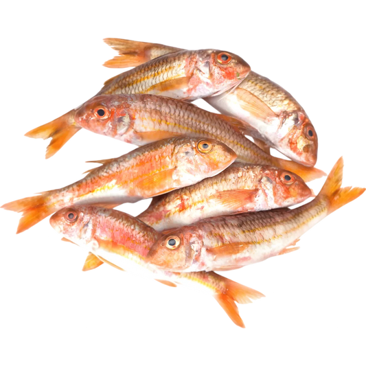 Lot de rougets barbets frais, poisson surgelé de qualité supérieure, parfait pour plats méditerranéens et cuisine saine.