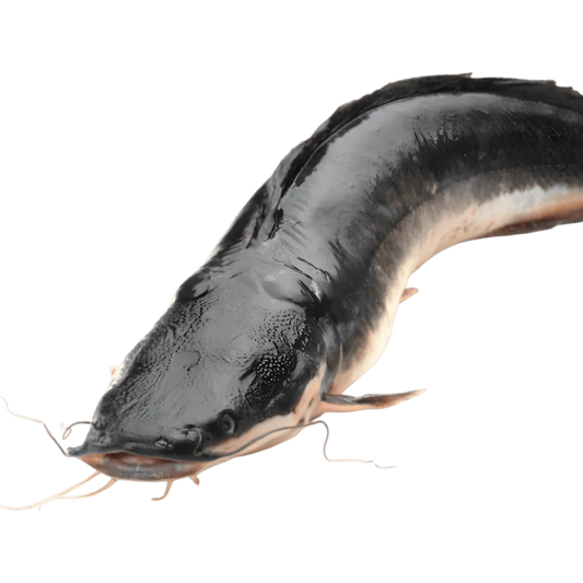 Silure ouvert fumé - POISSON - NKOSI, poisson frais entier non fumé, prêt à être cuisiné ou fumé, parfait pour recettes de fruits de mer.