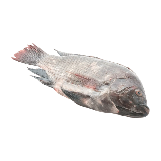 Poisson tilapia surgelé entier, texture tendre et goût doux, parfait pour recettes variées. Tilapia frais à commander en ligne facilement.