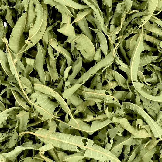 Zoom sur les feuilles séchées de verveine SAMIA, utilisées pour une infusion relaxante et bénéfique pour le confort digestif.