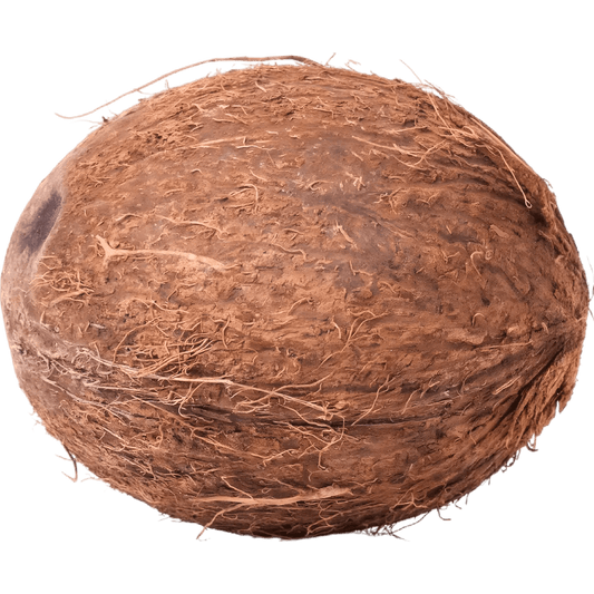 Noix de coco fraîche entière avec coque fibreuse, idéale pour savourer une chair juteuse. Fruit tropical authentique pour une expérience exotique.