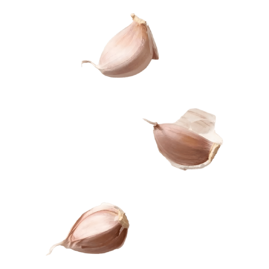 Ail blanc en filet