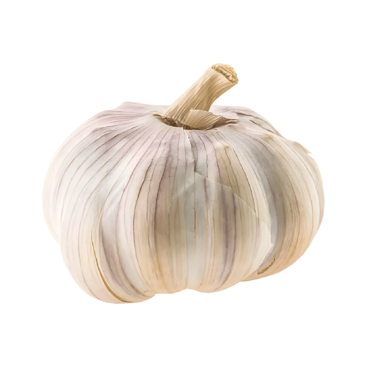 Ail blanc en filet
