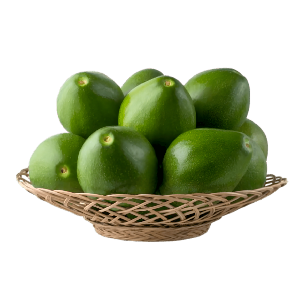 Avocat tropical