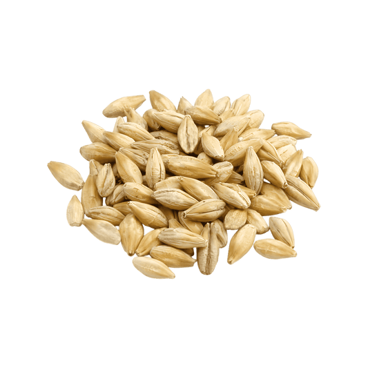 Boisson au malt GUINNESS