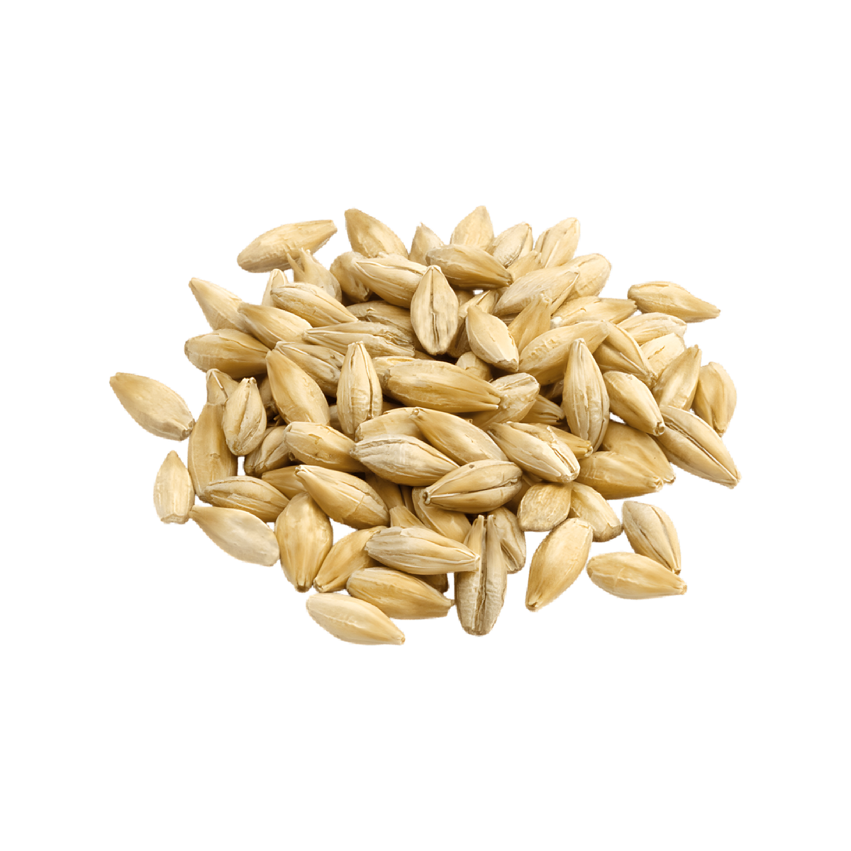 Boisson au malt et gingembre VITA MALT