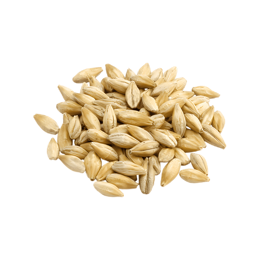 Boisson au malt et gingembre VITA MALT