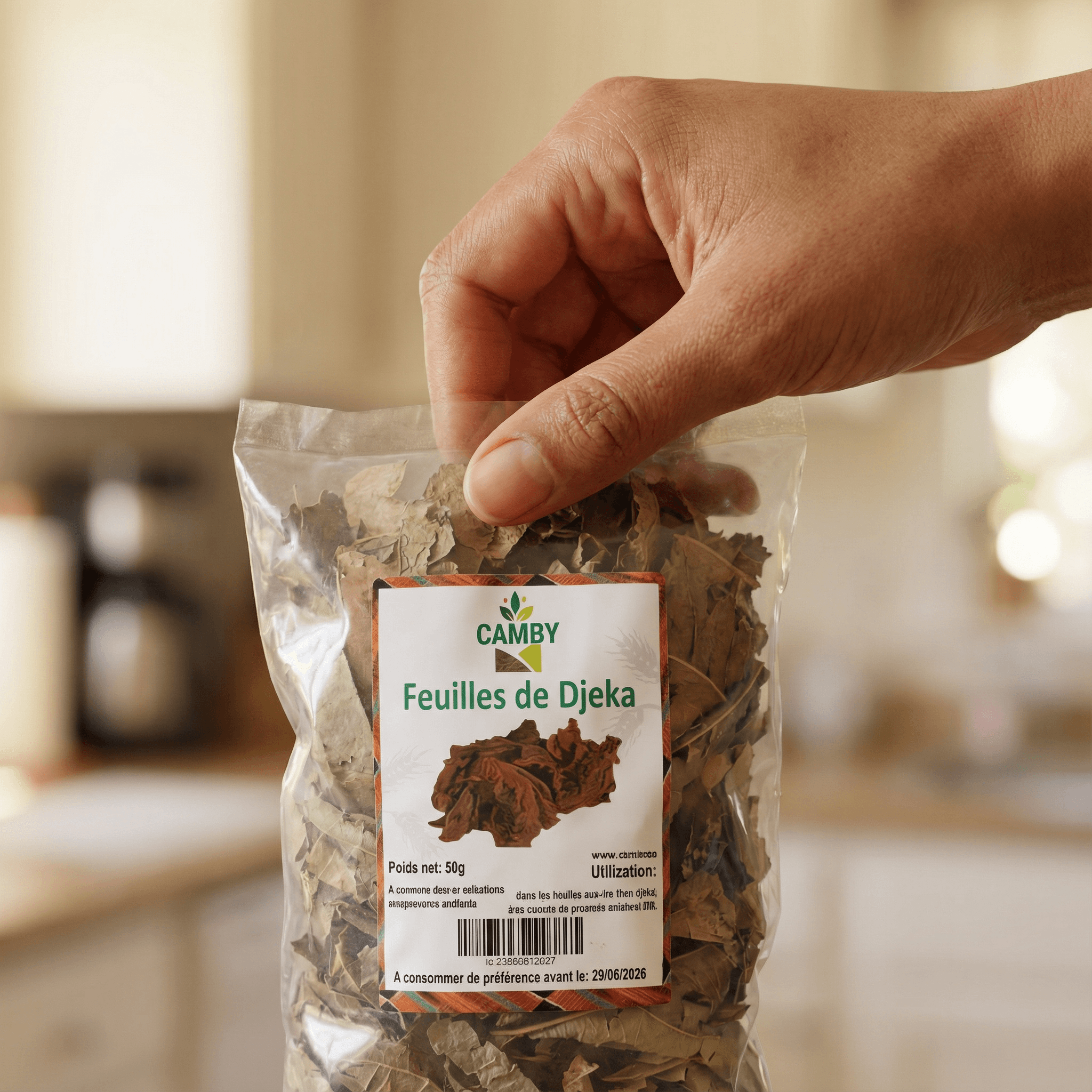 Feuille de Djeka CAMBY