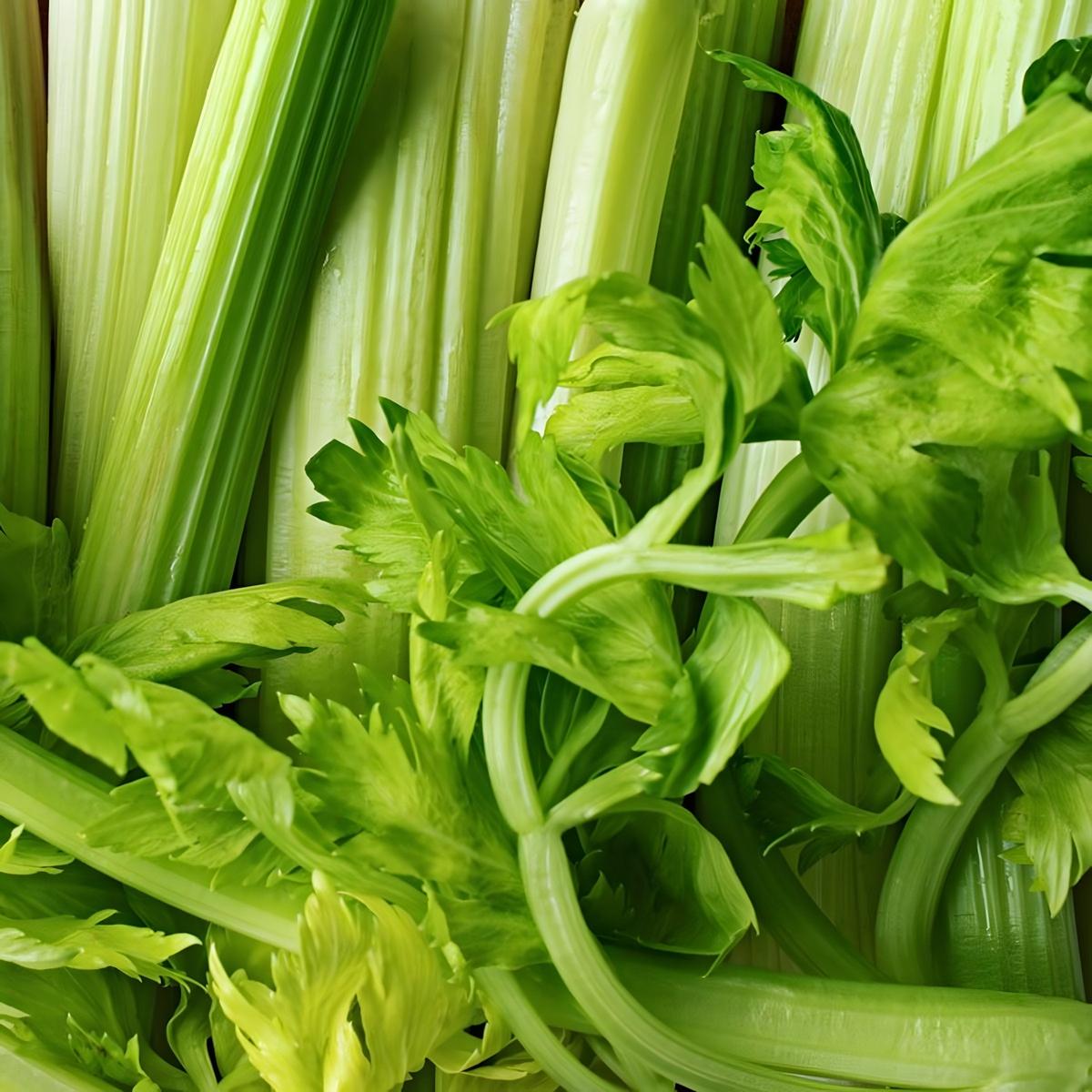 Celeri