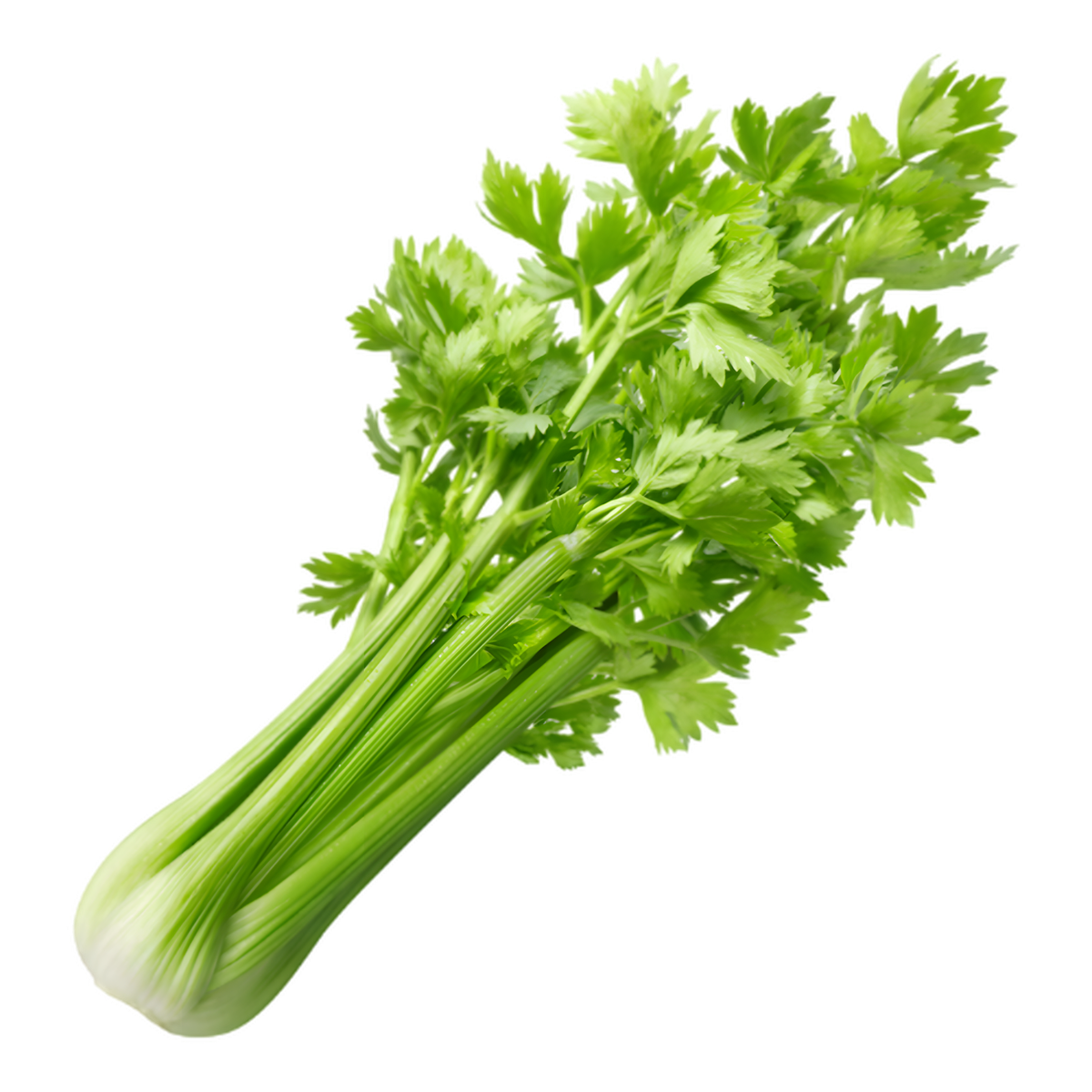 Celeri