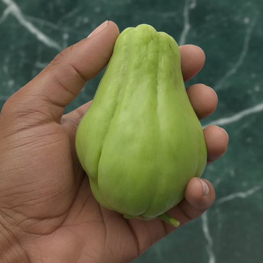 Chayotte fraîche tenue à la main, montrant sa taille et sa texture ferme, parfaite pour une cuisine tropicale et créative.