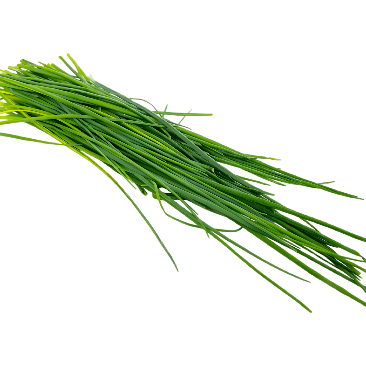 Ciboulette