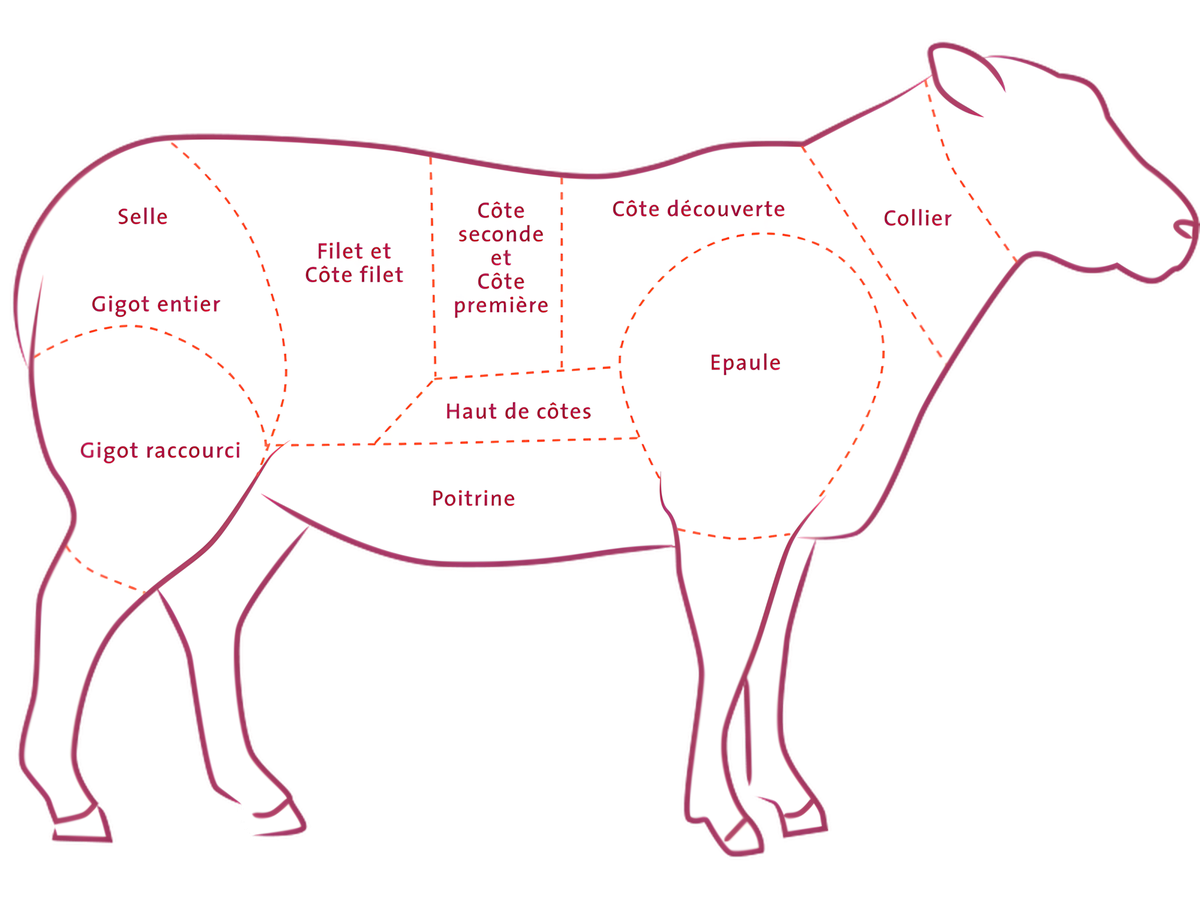 Colier d'agneau halal