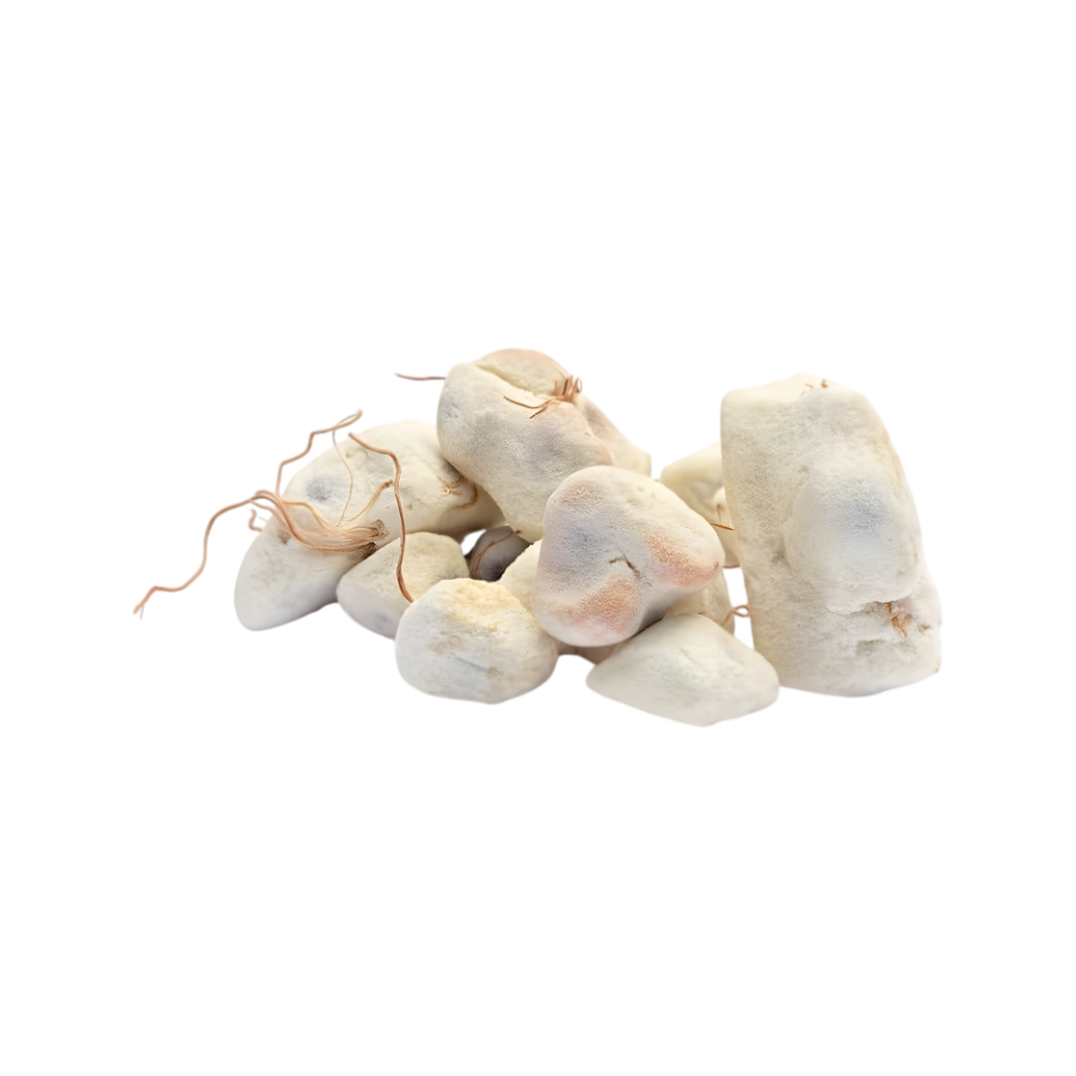 Concassé de baobab BIO RACINES