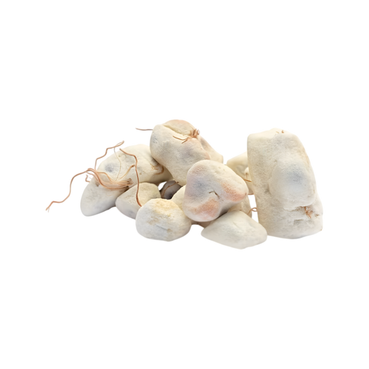 Concassé de baobab BIO RACINES
