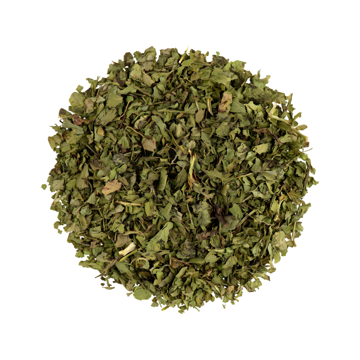Coriandre en feuilles SAMIA