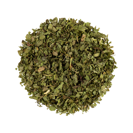 Coriandre en feuilles SAMIA