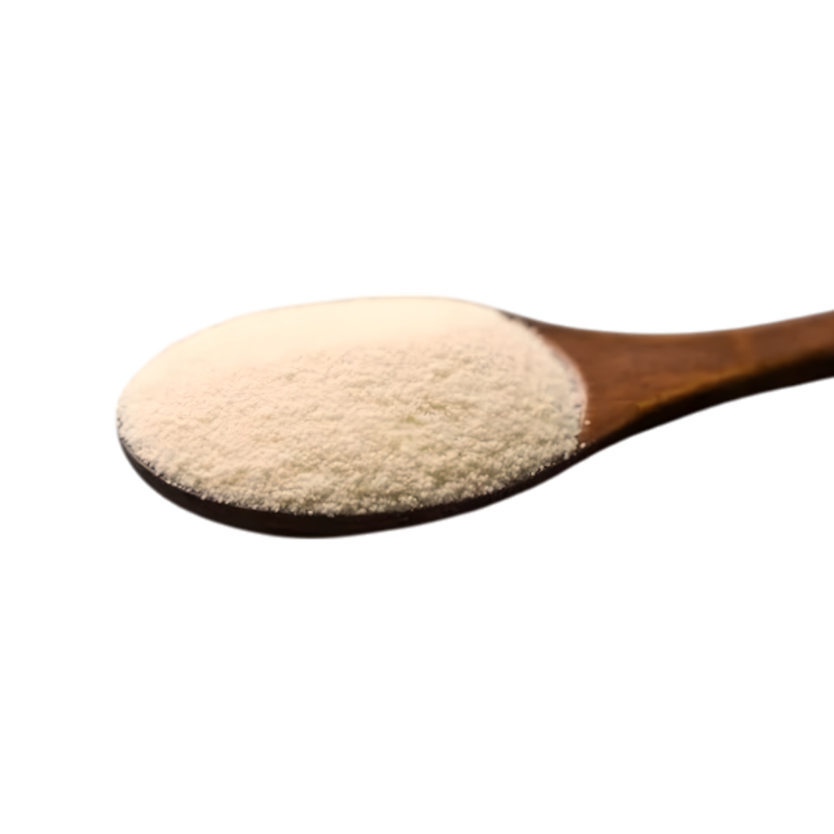 Couscous moyen RENARD