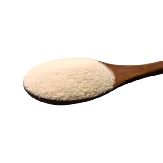 Couscous moyen RENARD