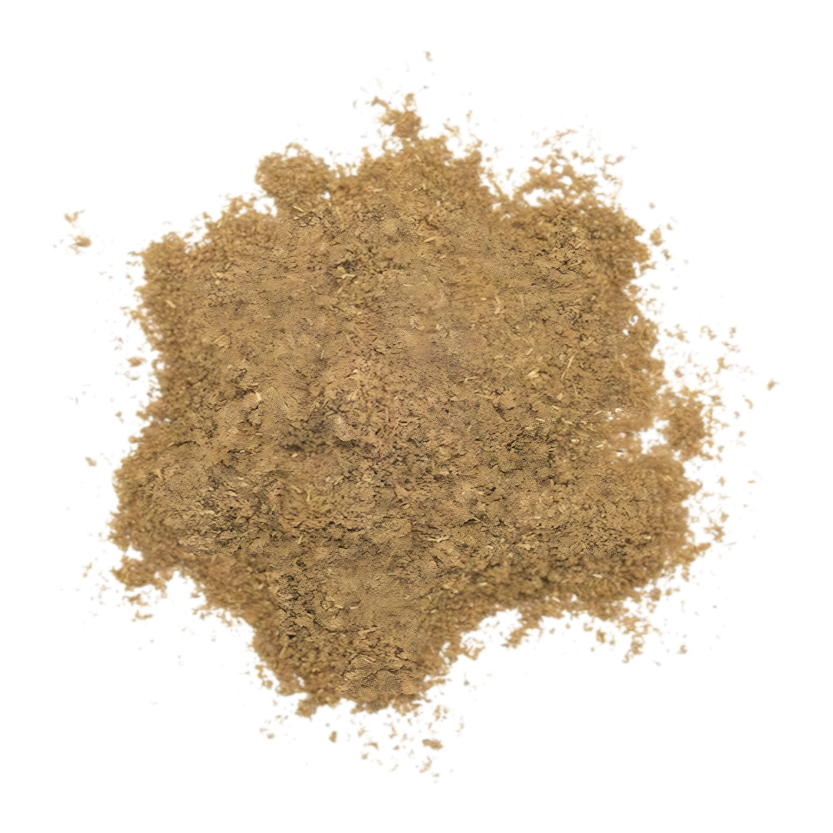 Cumin moulu SAMIA