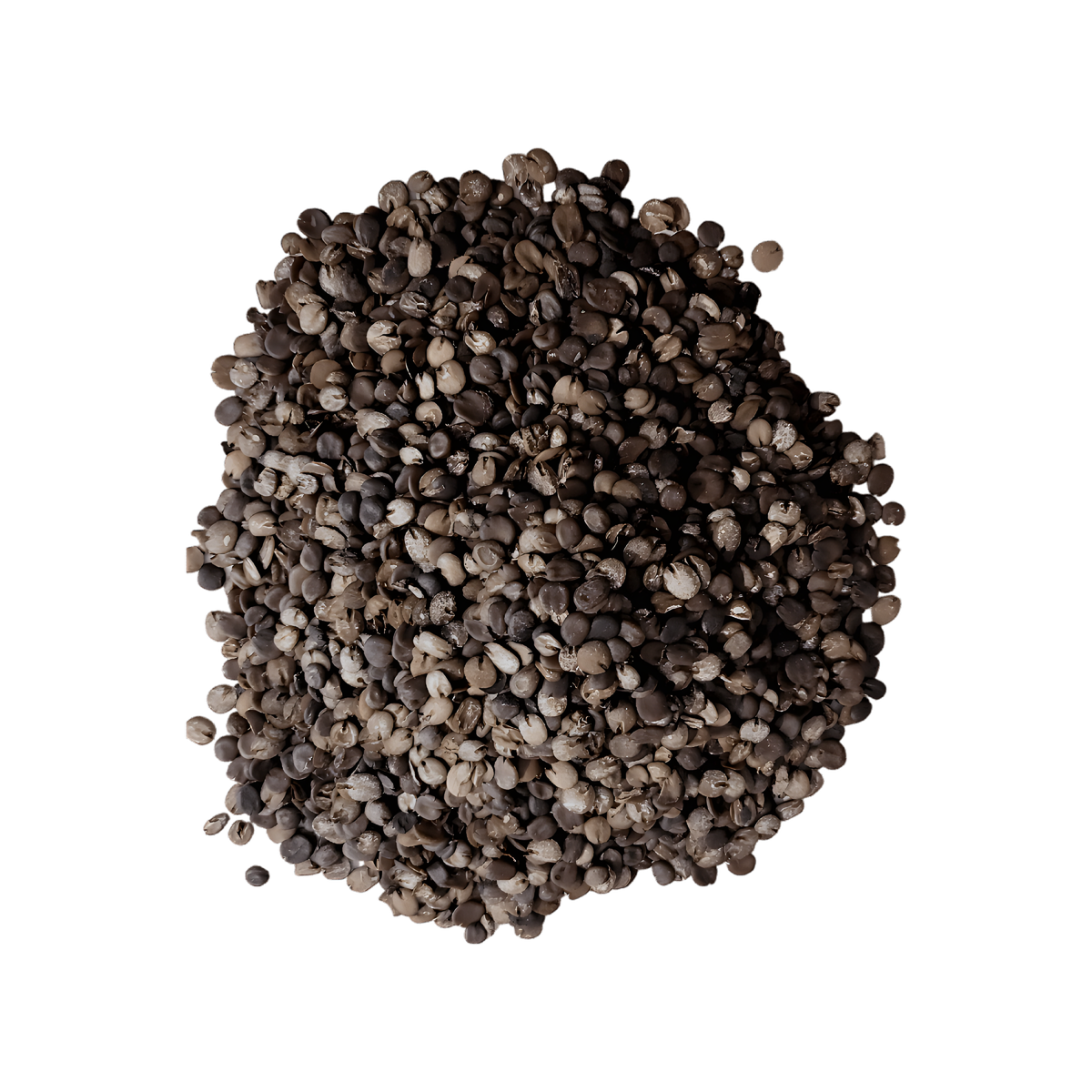 Épice Soumbara / Nététou en grain