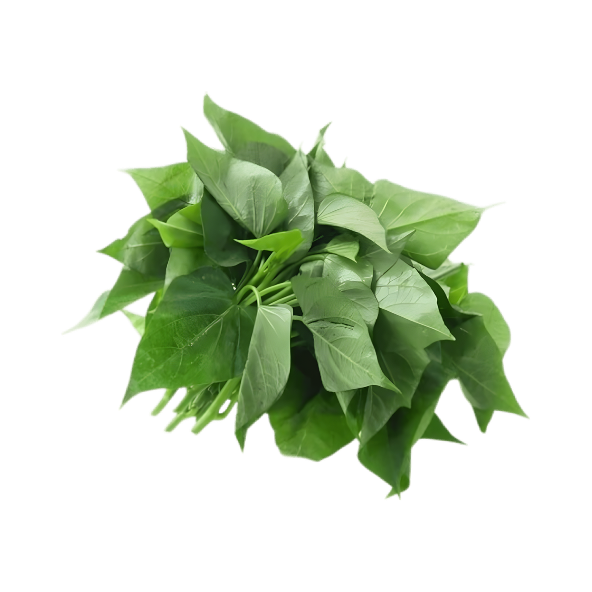 Feuille de patate / Matembele