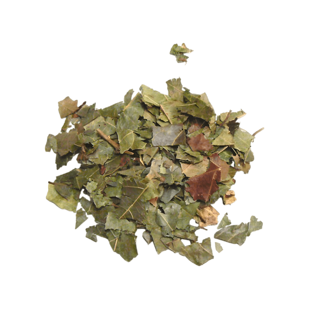 Feuilles de kinkeliba RACINES