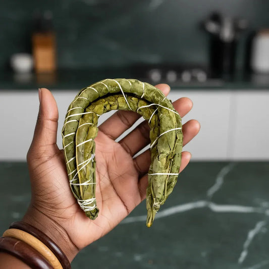 Main tenant un bobolo frais fermenté, pâte de manioc enroulée dans des feuilles, aliment riche en fibres pour plats africains.