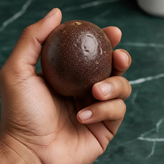 Main tenant un fruit de la passion frais, peau pourpre foncée, parfait pour une consommation immédiate ou une préparation culinaire exotique.