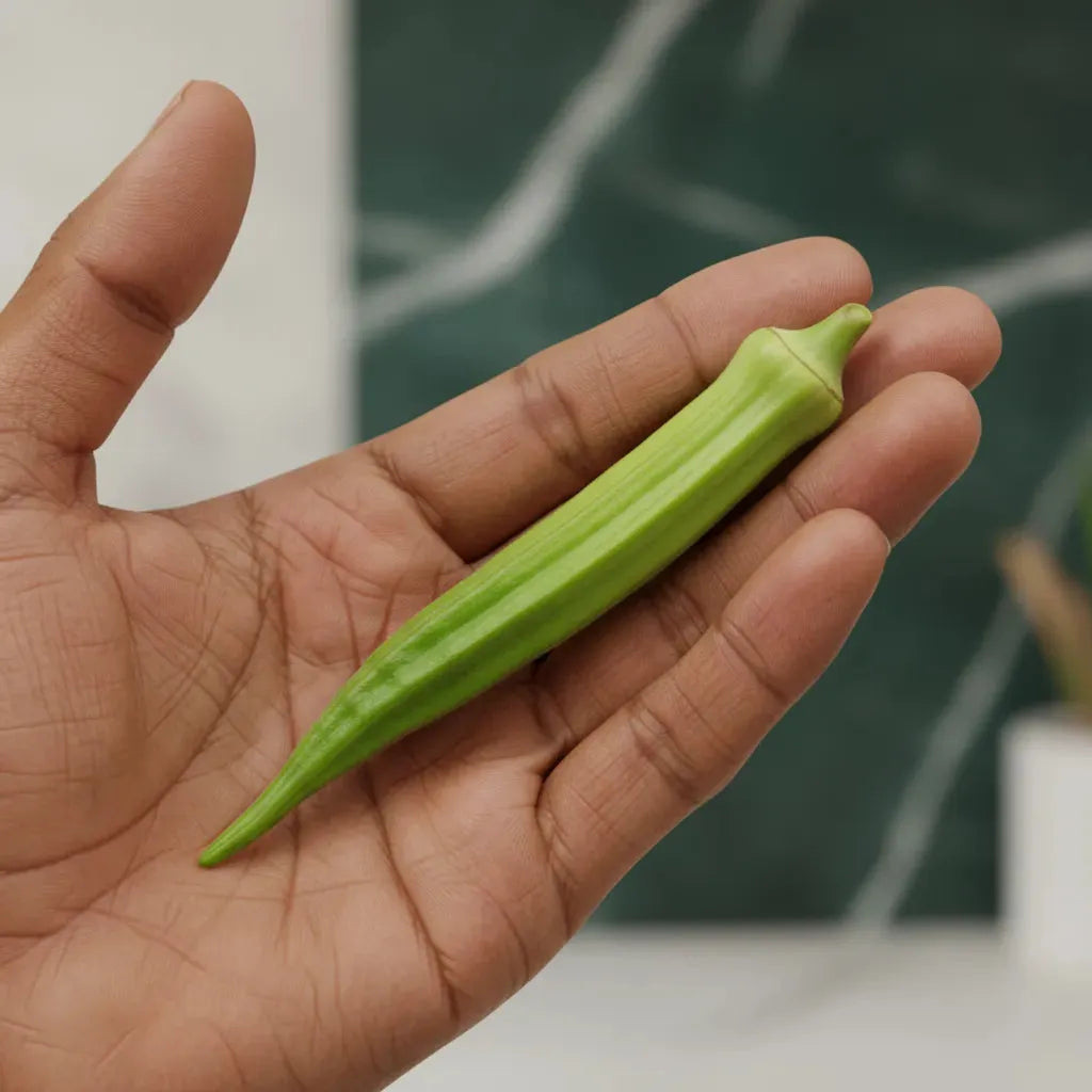 Gombo frais tenu en main, montrant sa texture croquante et sa fraîcheur, parfait pour plats sains et nutritifs.